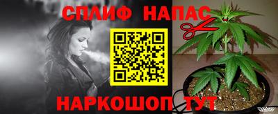 тгк Малгобек