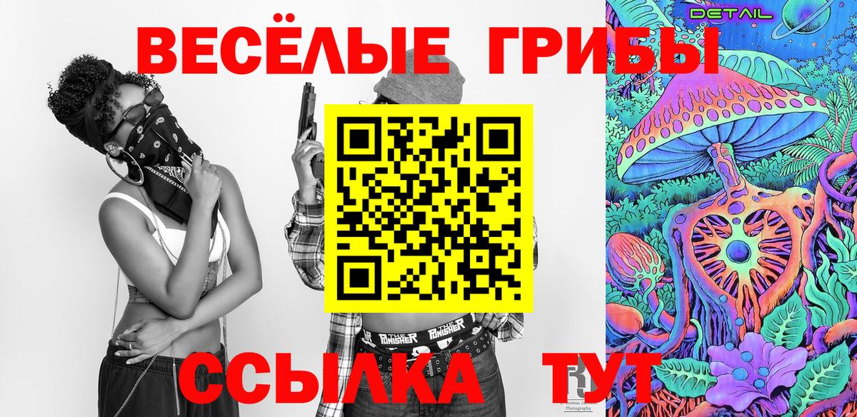Зеленокумск  Галлюциногенные грибы MAGIC MUSHROOMS  Вход с VPN  Галлюциногенные грибы прущие грибы 