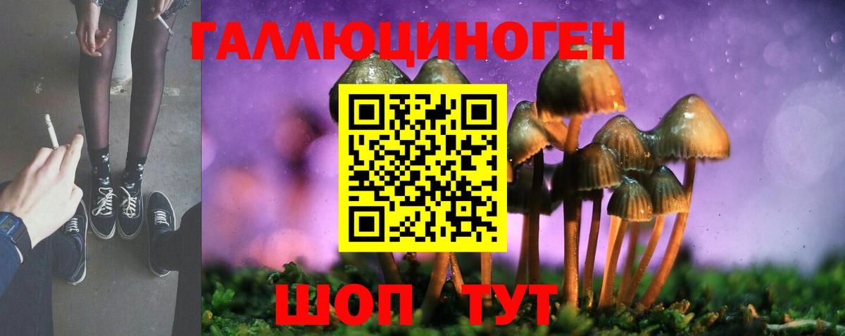 Псилоцибиновые грибы Psilocybe Зеленокумск