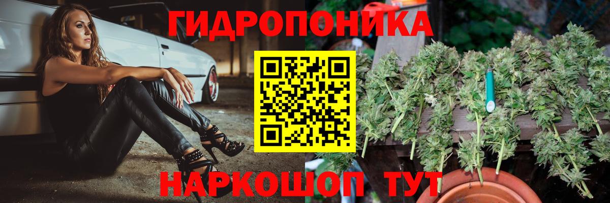 Канабис конопля Зеленокумск